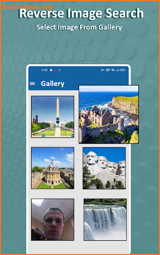 reverse image search tool: search by image engine screenshot