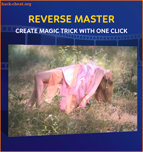 Reverse Video Master screenshot
