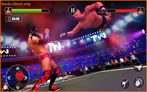 Revolution in Wrestling World: Bad Guys Fighting screenshot