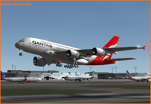 RFPS Real Flight Pro Simulator screenshot