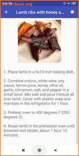 Ribs recipes for free app offline with photo screenshot