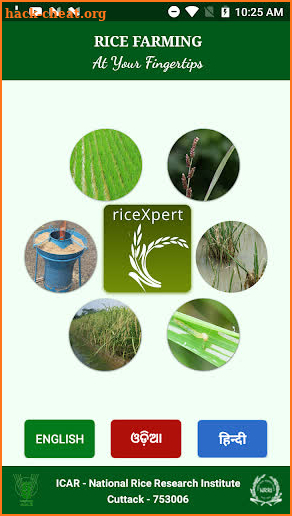 riceXpert screenshot