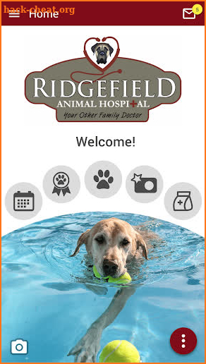 Ridgefield Animal Hospital screenshot