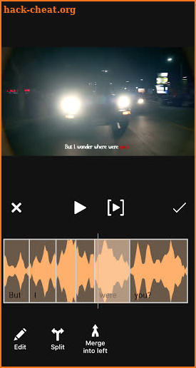 RidSub - Lyrics Video Maker screenshot