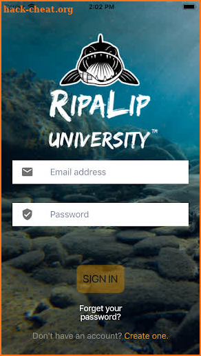 RipaLip University screenshot