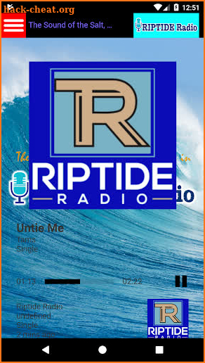 RIPTIDE Radio screenshot