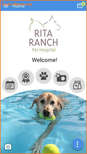 Rita Ranch Pets screenshot