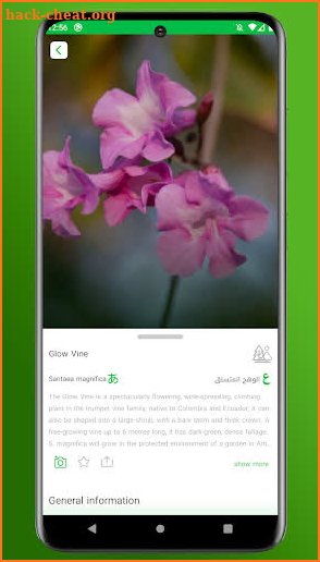 Riyadh Plants screenshot