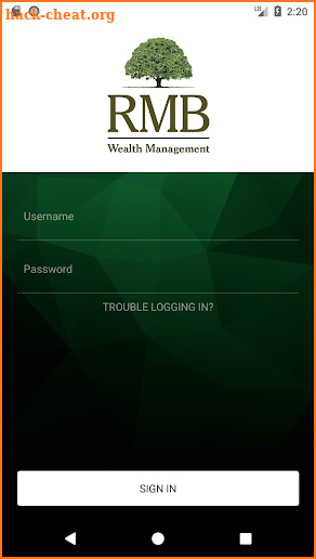 RMB Wealth Mgmt: Client Portal screenshot