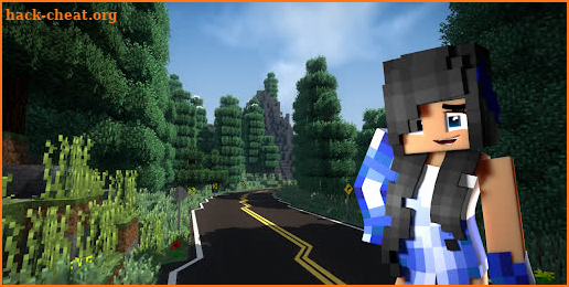 Road Mod for Minecraft screenshot