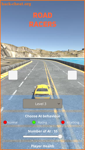 Road Racers screenshot