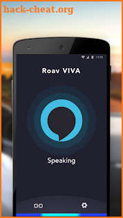 Roav VIVA screenshot
