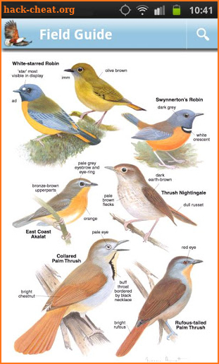 Roberts Multimedia Birds of SA screenshot