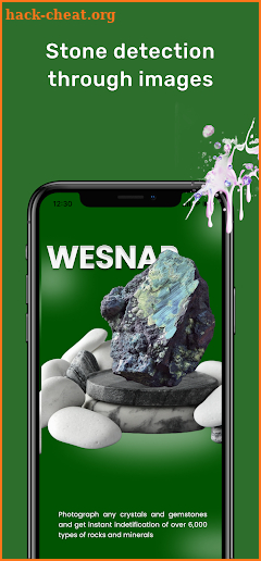 Rock Identifier - Stone Check screenshot