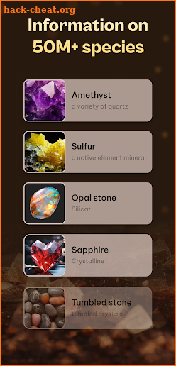 Rock Identifier: Stone Value screenshot