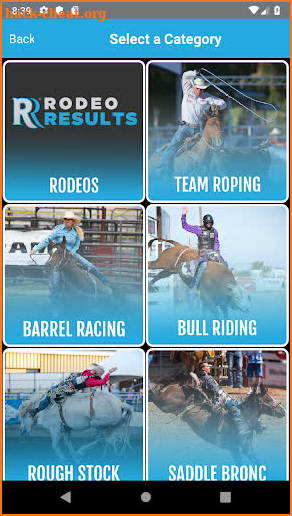 Rodeo Results screenshot