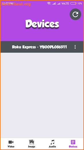 Roku Cast screenshot