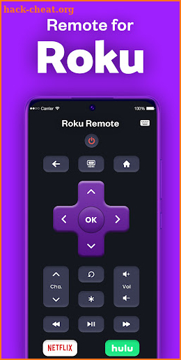 Roku TV Remote Control App screenshot