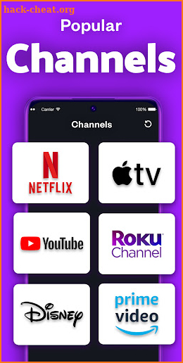 Roku TV Remote Control App screenshot