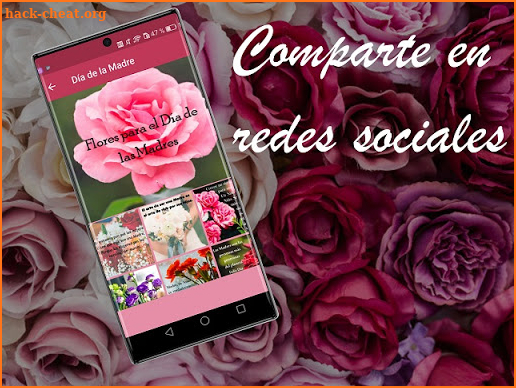 Rosas con Frases Bonitas screenshot