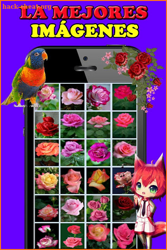 Rosas y Flores de Colores para Enamorar screenshot