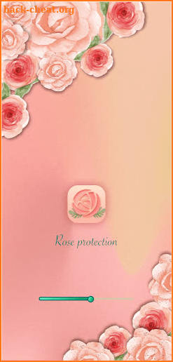 Rose Protection VPN screenshot