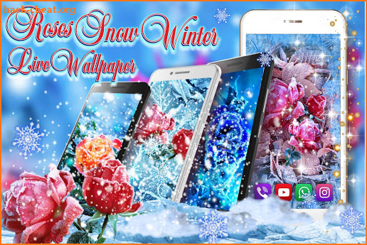 Roses Snow Winter Live wallpaper screenshot