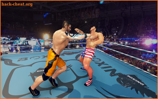 Royal Wrestling Cage: Sumo Fighting Game screenshot