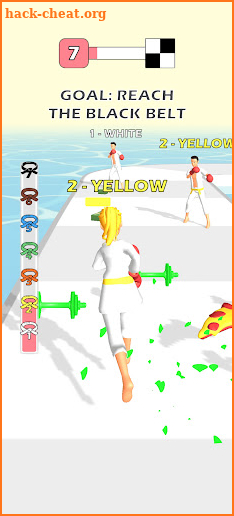 Run of Karate screenshot