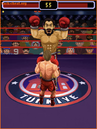 Rush Boxing screenshot