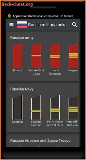 Russian military ranks screenshot