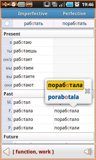 Russian Verbs Pro screenshot