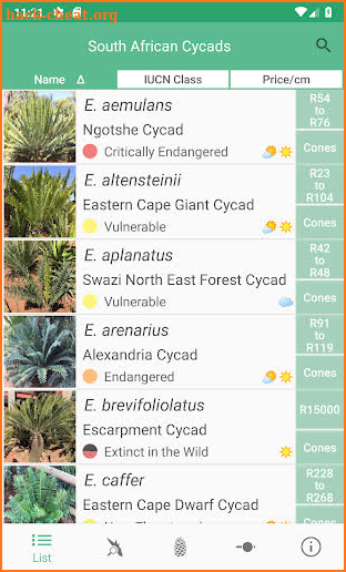 SA Cycads screenshot