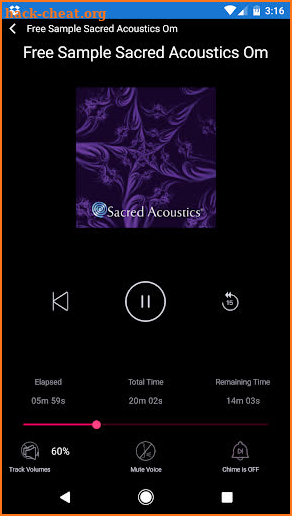 Sacred Acoustics screenshot