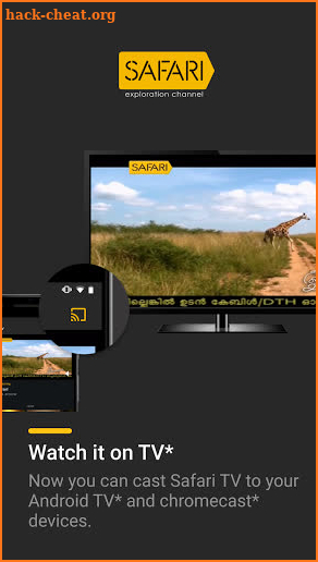Safari TV screenshot