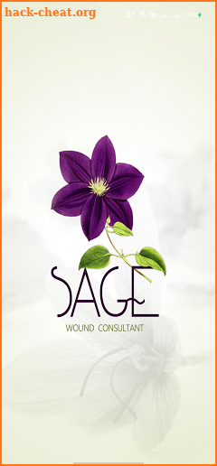 Sage Wound Consultant screenshot