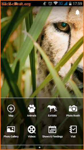 Saint Louis Zoo screenshot
