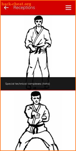 Sakauri Karate Basics screenshot