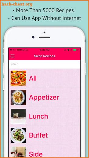 Salad Recipes - Offline Recipe of Salad screenshot