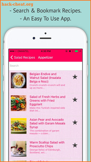 Salad Recipes - Offline Recipe of Salad screenshot
