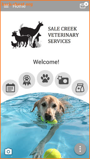 Sale Creek Vet Services screenshot