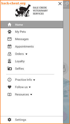 Sale Creek Vet Services screenshot