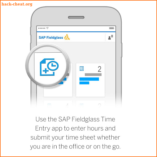 SAP Fieldglass Time Entry screenshot