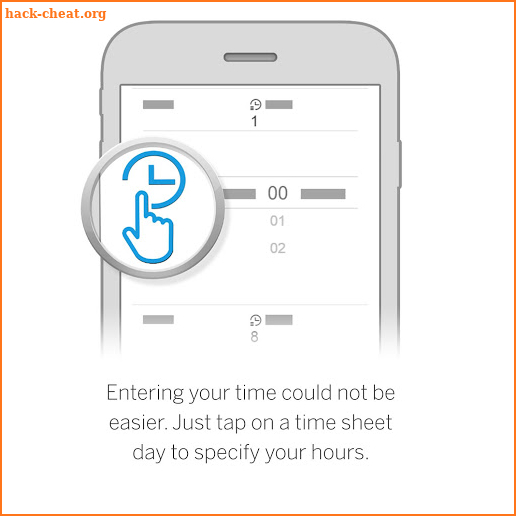 SAP Fieldglass Time Entry screenshot