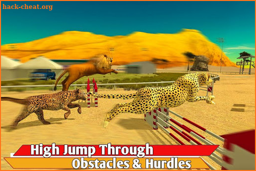 Savanna Animal Racing 3D screenshot