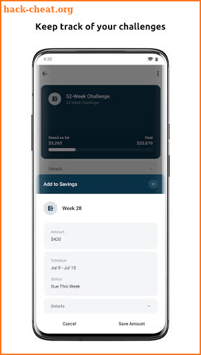 Savings Challenge screenshot