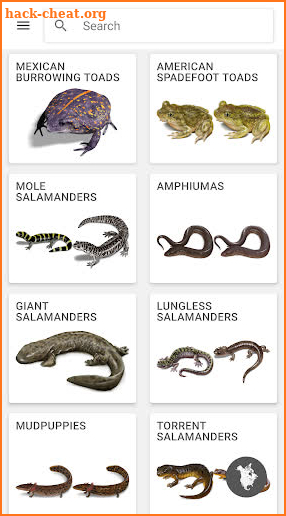 Schechter's Reptiles & Amphibians of North America screenshot