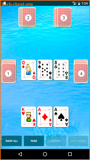 Schwimmen Deluxe (card game) screenshot