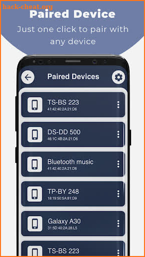Screen Cast: Bluetooth Manager screenshot