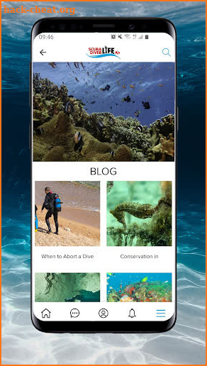 Scuba Diver Life screenshot